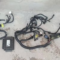 اوبترا • ضفيره كير • عقل