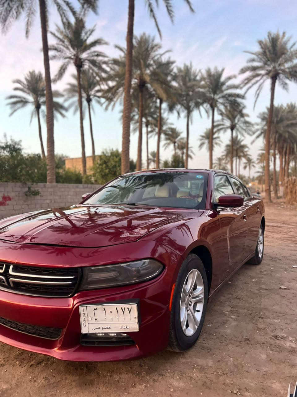 سلام عليكم دوج جارجر وردامريكي مديل 20سياره مكفوال كفاله عامه فقط بارد بل البنيد وشويه صبغ بل الجاملغ لامامي والباقي مكفوال حت شوطي ولاغودكفاله  عامه مكينه وكير واكسن علي وضع الشركه سياره جديده وستعمال شخصي ماشيه 64مايل سياره جديده مامشتغل خط الو كرزي موصفات لاكس اكست معروفه مكاني بابل السعر 227وبيه مجال رقمي *********** وسونره ويه الصور
