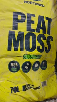 مشتل نور الهدى • بتموس هولندي • توصيل