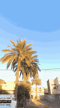 ارض للبيع !!!
بسعر كلش مناسب
#مساحة: 303م
#العنوان: كركوك خلف مكتب القاسمي  #كركوك
☎️***********☎️
:
____________________________
⚜️ القاسمي للعقار والمقاولات في كركوك
⚜️ لاستقبال جميع العروضكم في كافت مناطق المدينة كركوك الحبيبه...
📍: كركوك كركوك شارع المحافظة القديم مجاور القائمقامية_ مقابل فضائية تركمان ايلي... { }
#
