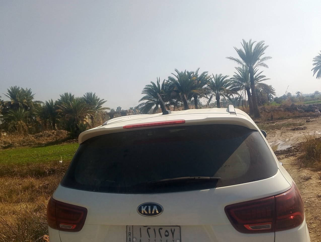 السلام عليكم
سيارة نضيفة وحلوة وجديدة
سورنتو خليجي 2020 
6 سلندر
7راكب 
بصمة تشغيل وابواب
جنطة كهرباء شفط
بردات بلادي
مري شفط
3قطع تبريد
كشنات جلد
كشنات كهرباء
حساس امامي خلفي
شاشة كبيرة 
كامرة خلفية
لايت زينون
بك لايت LED
تحكم ستيرن جهتين
ترحيب عند الاقتراب
علامة سورنتو ضوئية
اربع كامرات

بريك بصمه للاستفسار ‭***********
