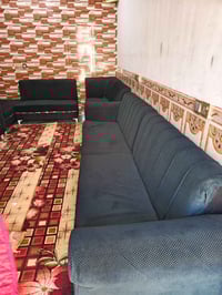 تخم ١٠قطع • كاونتر • سنكه