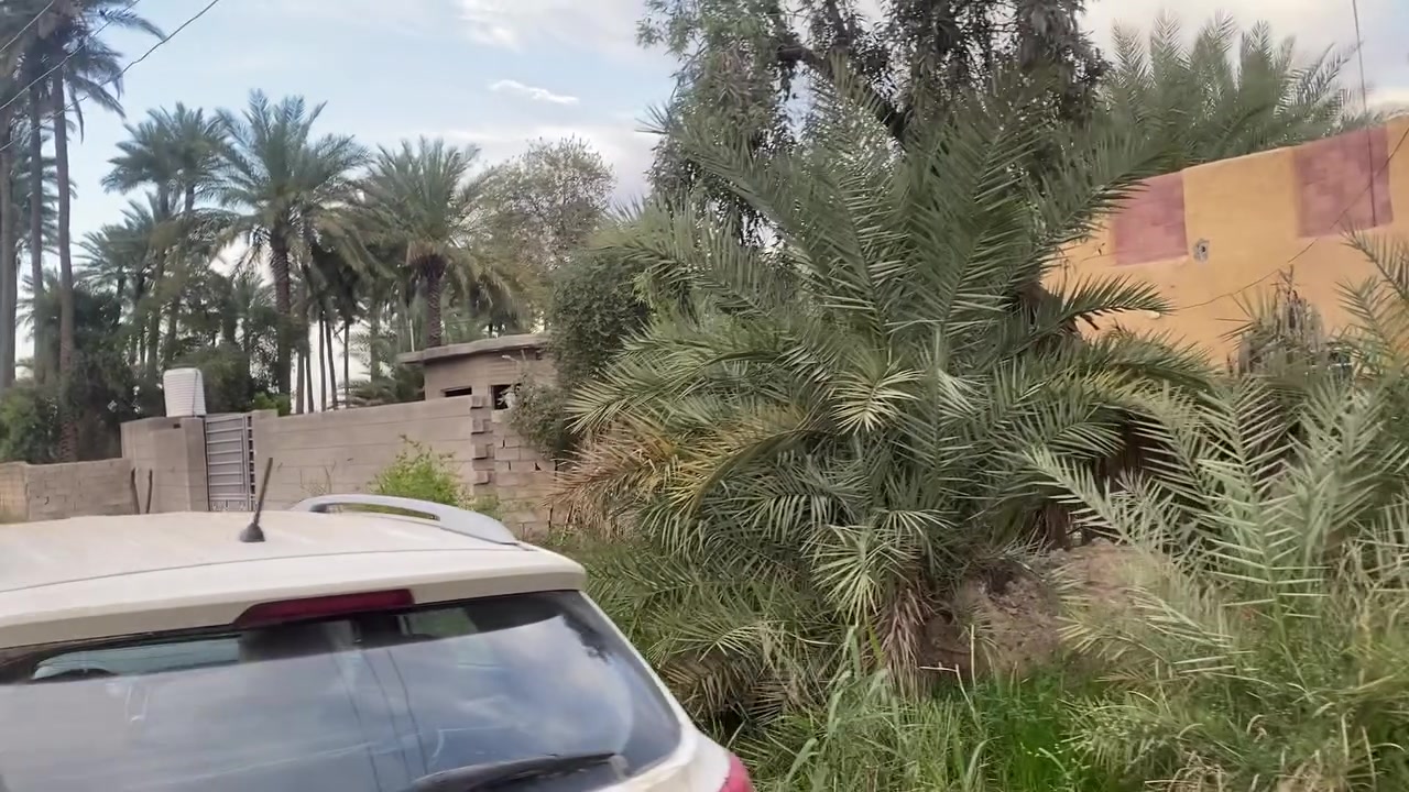 السلام عليكم
للبيع دونم زراعي ملك صرف شرط التحويل. 

واجهه  28 نزال 90 

يحتوي الدونم على دار سكني قديم بس صالح للسكن 

يتوفر جميع الخدمات من ماء ابي وماء سقي نهر كدامة 
كهرباء شارع تبليط رئيسي 

المنطقة هادئه صالحة للسكن او الاستثمار في مشروع معين 

العنوان ديالى . بعقوبة . منطقة السادة . في بداية قرية دورة 

السعر المطلوب 90 وبي مجال 

للاستفسار ***********
