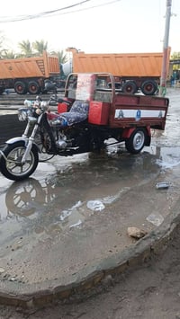 ستوت • موديل 13 • أوراق