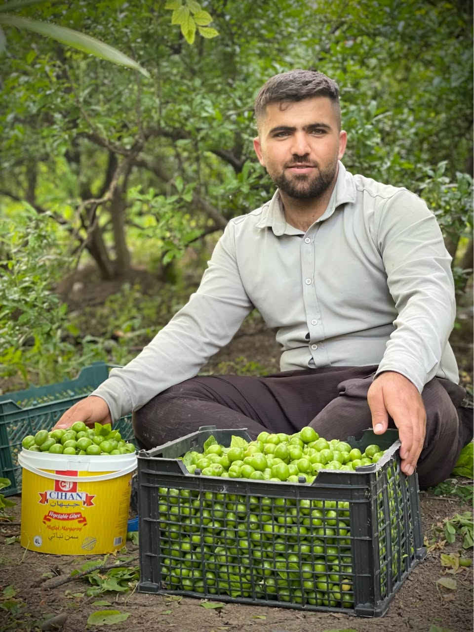 ‎نەمامی هەلوژەی سەوز 
‎(گەلاسی ئەمریکی )
‎هەلوژەی سور 

‎قەلەمی دەستی خۆمانە بەشەرت
‎نرخی3هەزار
‎رسمەکان هی هامان دارن کەلیمان قەلەم کردو 

‎بۆزانیاری زیاتر پەیوەندیمان پیوەبکەن 
٠۷۷۳۳۷۷۸۱۲۱
٠۷٥٠۱۷۷۸۱۲۱
‎ناونیشان 

 ‎رانیە گوندی کانیماران رانية, السليمانية


**إذا كنت صاحب هذا الإعلان وتريد حذفه لأي سبب، رجاءا أرسل رسالة إلى الدعم الفني**