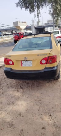 كوريلا نحلة • ٢٠٠٨ • بغداد