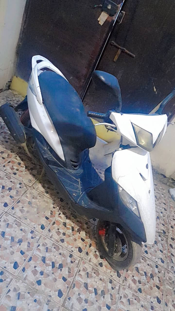 سلام عليكم ثعلب للبيع مكاني الدوره ***********
