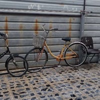 بايسكلات ٣حبات • بناتي أصفر • ياباني