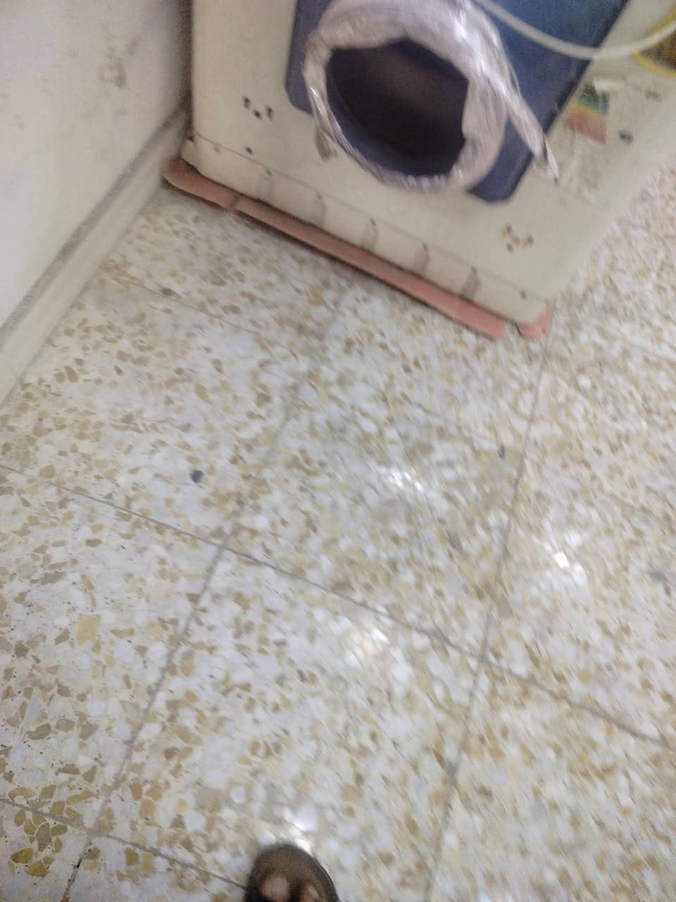للبيع
كنفيره نوع تريبو 
حجم كبير / ثلاث ساعات/ نظيفة 
سعر 80 الف
مبردة 2/5 الأصلي 
سرعتين / اقتصادية / نظيفة
سعر 160 الف 
للاتصال *********** بغداد
