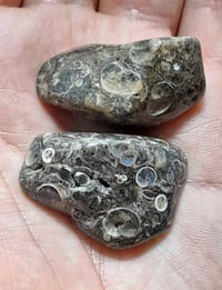 حجار جلد الحيه نثيه وفحل خام قديمات السعر 25 العنوان بغداد 07734026089