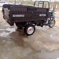 ستوته للبيع موديل 23 فحل اوراق اصولي         كفاله عامه الاستفسار هذا ...