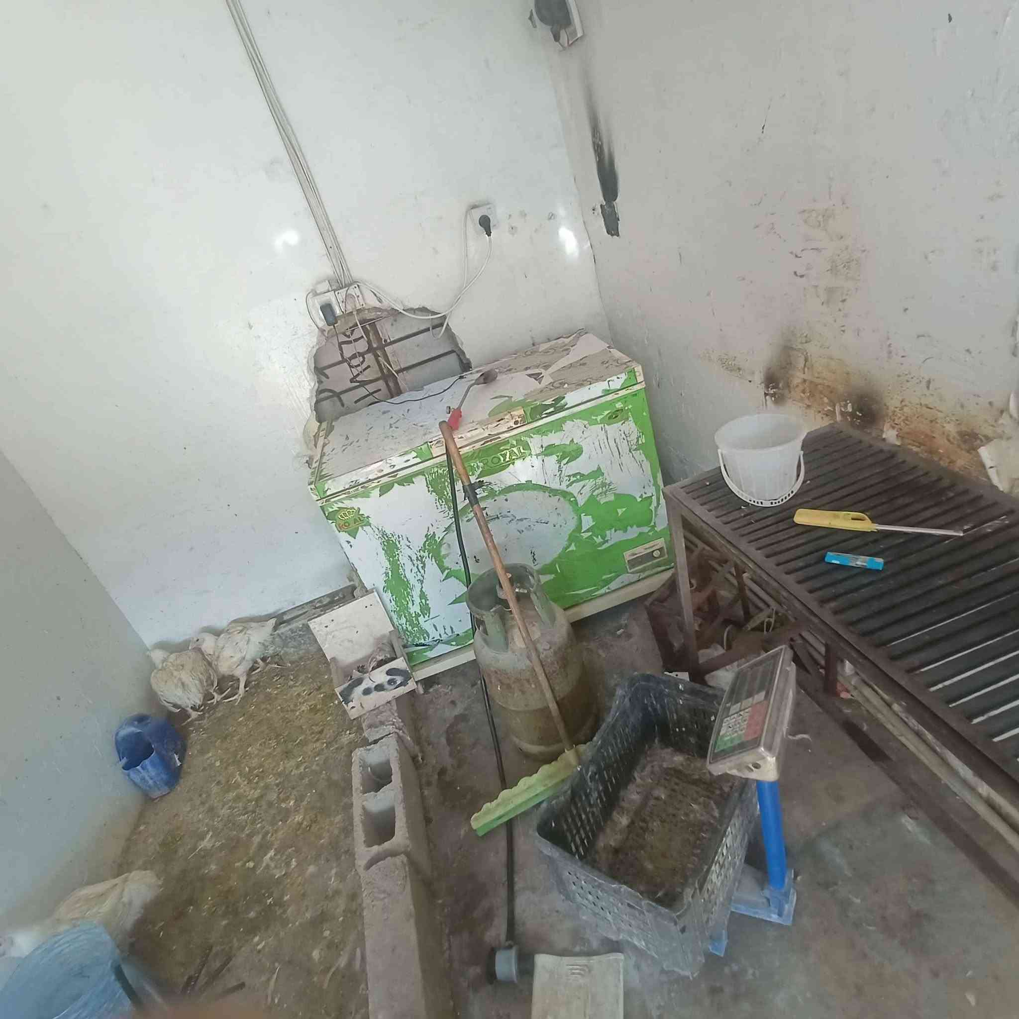 محل دجاج سايدين بنجا علي ايجاره 100 والاغراض 750 كركوك, العراق


**إذا كنت صاحب هذا الإعلان وتريد حذفه لأي سبب، رجاءا أرسل رسالة إلى الدعم الفني**