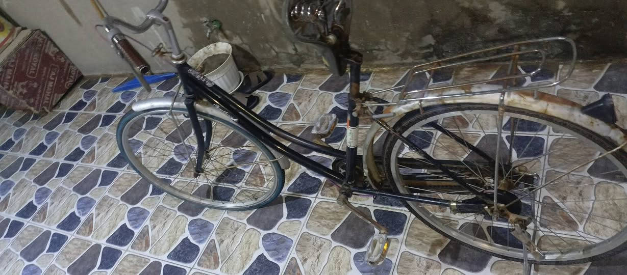 بايسكل للبيع
الباسكل نضيف كلش

فقط بي زنجار بل جاملغ مثل ماموضح في الصور 

السعر 40 وبي مجال
 
مستعجل على البيع 
 
رقم الموبايل 
***********
