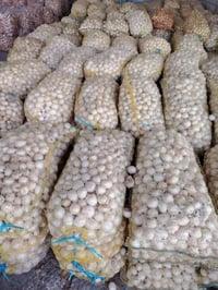 يوجد فسقة 07712718510