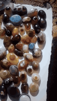 ٤٨ حجره سليماني مختلف بيهن عنتين واتساب٠٧٧٣٨١٢١٦٠٦