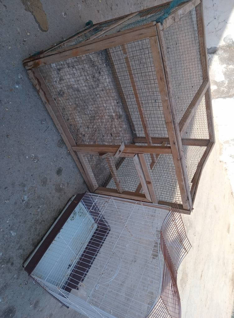 اقفاص للبيع سعرهن 25 ثنينهن مكاني بصرة مركز مدينة شراي يراسلني خاص البصرة, العراق


**إذا كنت صاحب هذا الإعلان وتريد حذفه لأي سبب، رجاءا أرسل رسالة إلى الدعم الفني**