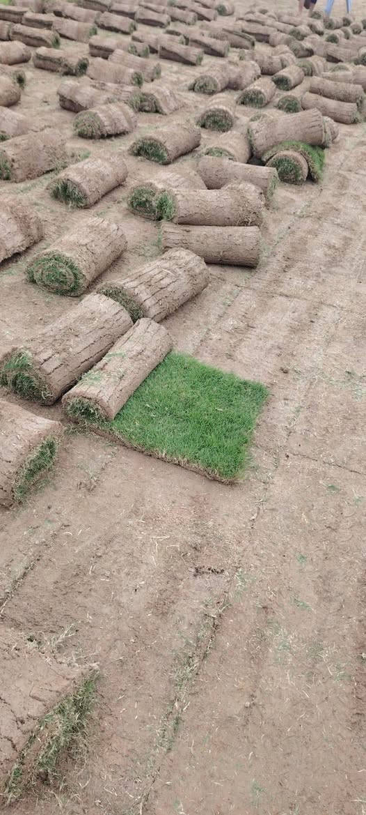 على بركة الله 
تم وصول الثيل الهندي 
باقين على العرض للحجز مراسلة الصفحه
شارع كوفه نجف ركن حي العداله مجاور باسكت للتسوق


**إذا كنت صاحب هذا الإعلان وتريد حذفه لأي سبب، رجاءا أرسل رسالة إلى الدعم الفني**