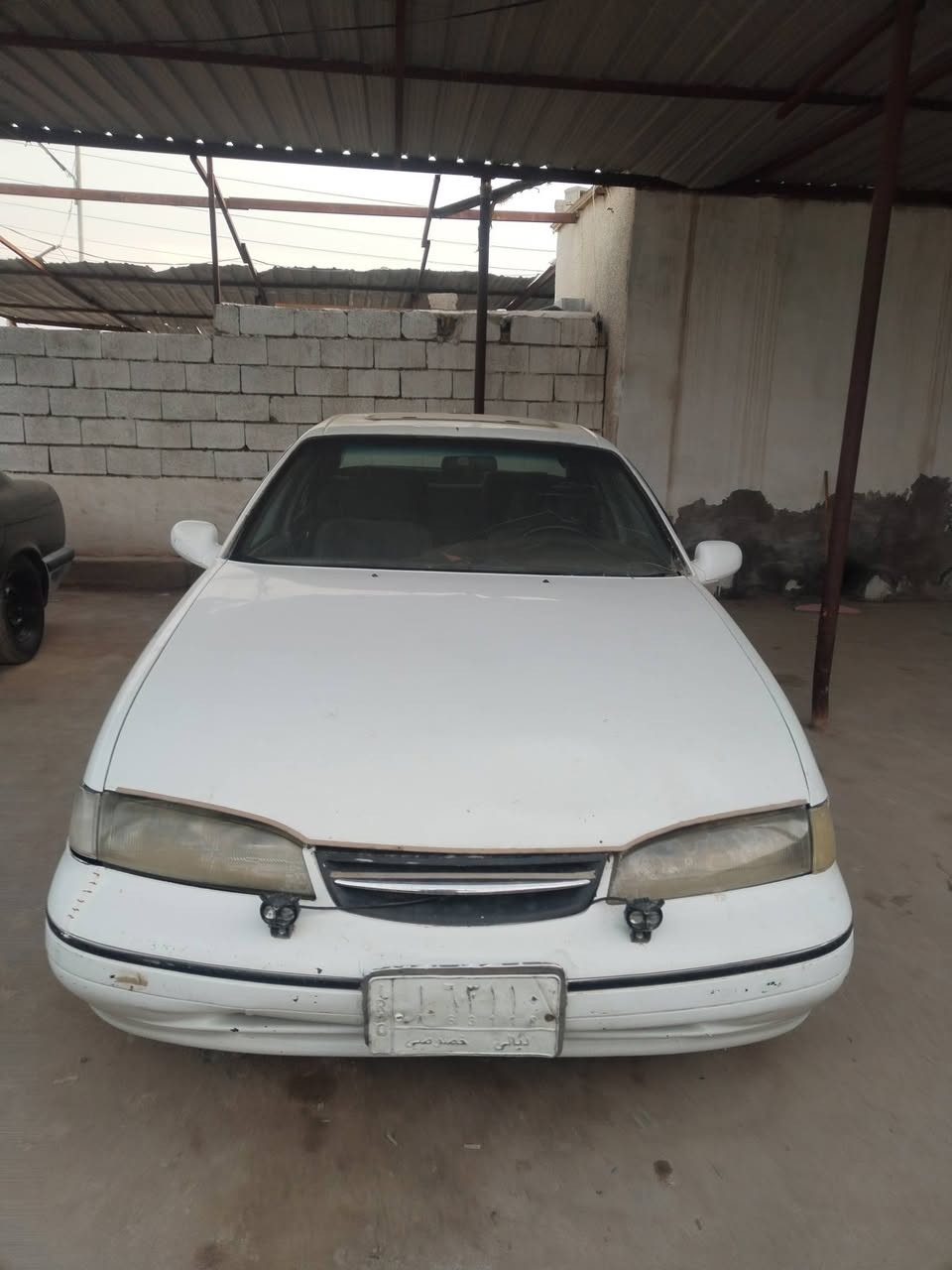 سلام عليكم برنس فراشة مودل 97
رقم ديالي سنوية ليا 27تحويل مباشر الثاني يوم كير ومكينه جديد كهربائية جاهزة غرفه حلوة نقص بس تبريد سعر سيارة 30وبها مجال طيبين


**إذا كنت صاحب هذا الإعلان وتريد حذفه لأي سبب، رجاءا أرسل رسالة إلى الدعم الفني**