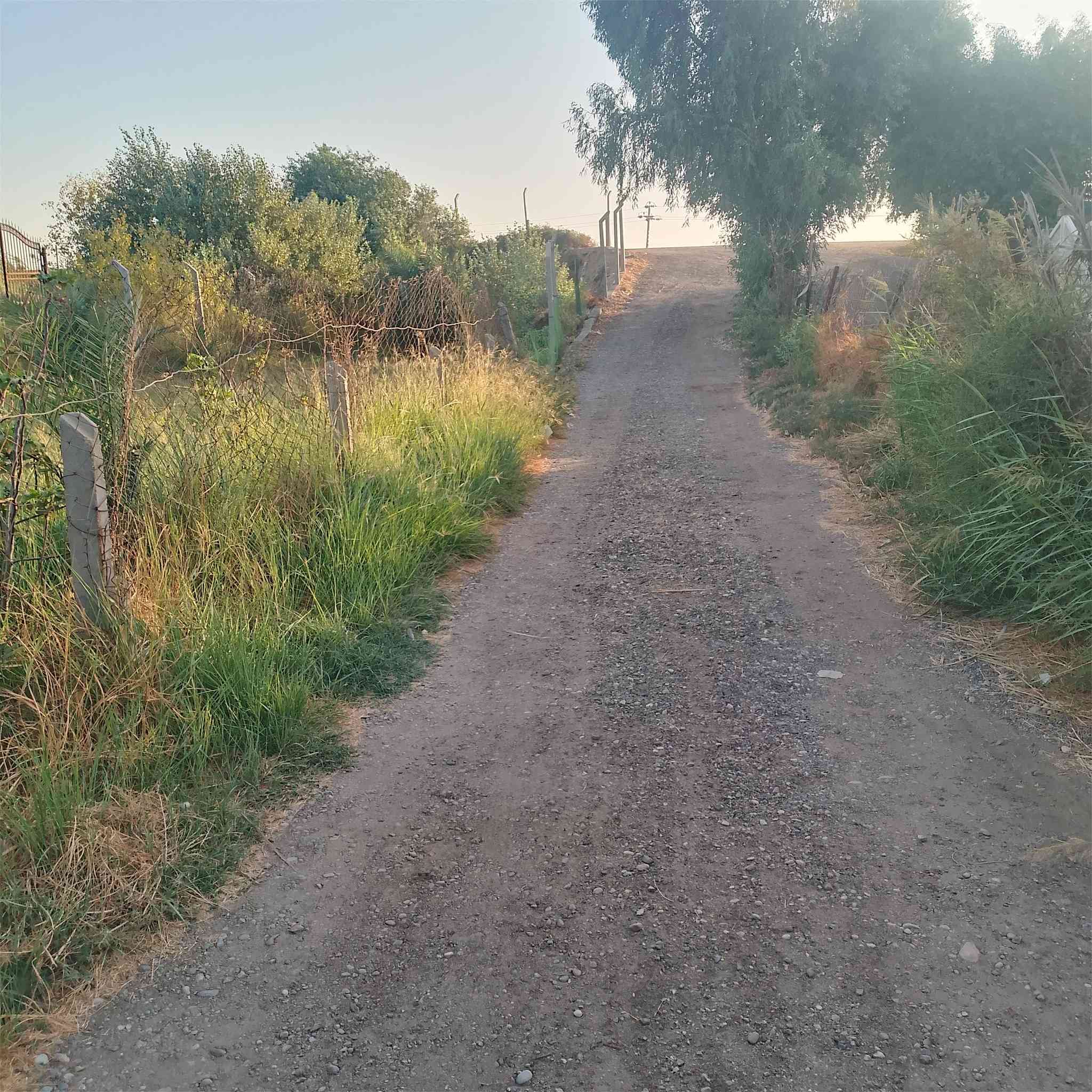 سلام عليكم ورحمه الله وبركاته نصف دونم مع بيت بنيان جديد سنه 22 المساحه البيت 300 متر طابوك صب كونكريت الوجه مال نصف دونم 13 ونزال من سده لشط طابو صرف 25 عشط العنوان ميسان بساتين دفاس قرب الاساله الماي ثانية اقره المنشور عدل اخي رجاء الاستفسار ***********
