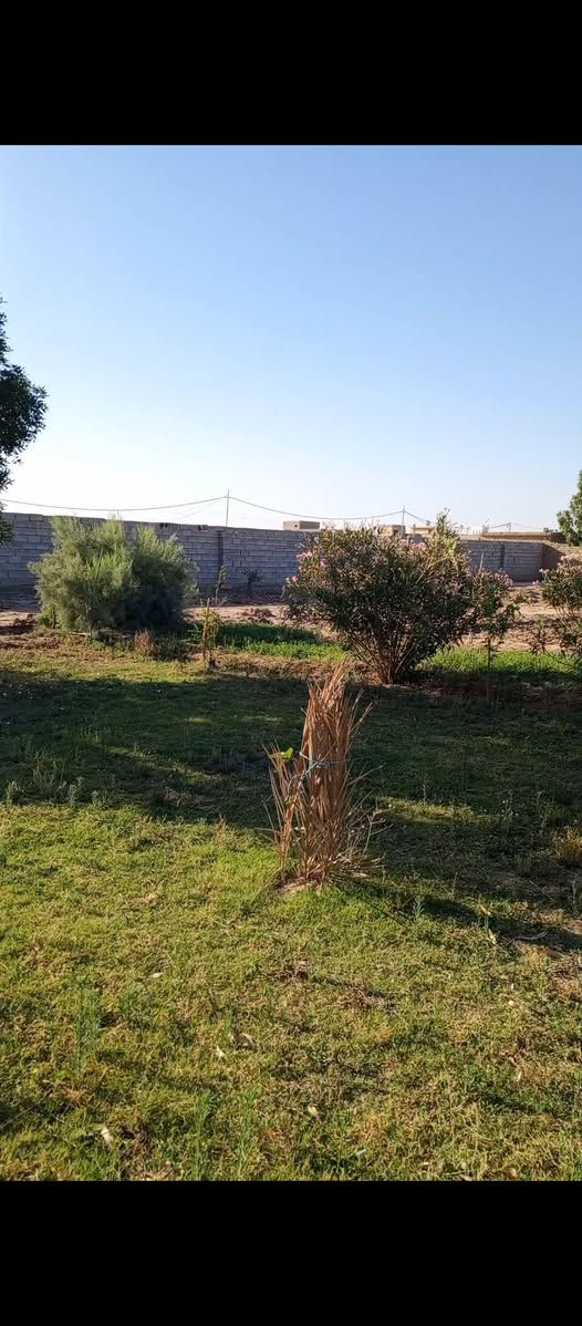 السلام عليكم نصف دونم طريق بيت سيد جواد يبعد عن الشارع 50متر نزلت بيت المرحوم ناصر حسون شحيل للاستفسار الاتصال على الرقم ***********

