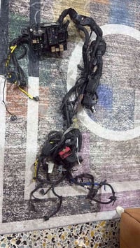 شجره كامله مال كونه وقاعده ترهم عل سيارت كوريه لتفيده سعره خيالي  مكان...