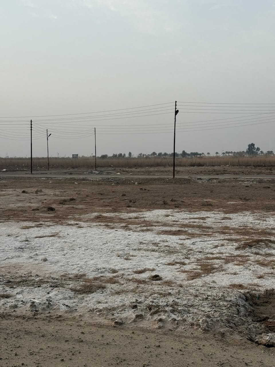 للبيع قطع اراضي بأسعار تنافسية 💥
(((مجمع _جوهرة الدجيل )))

 يوجد لدينا قطع اراضي سكنيه ملك صرف زراعي سند 25
في مدينة الدجيل بمساحات مختلفة تبدأ منـ 

المساحة: 100م²  

المساحة: 200م² 

المساحة: 300م² 

المساحة: 400م² 

‼️المساحات المطلوبه حسب رغبة المشتري  

🔴-المساحة: 200م²
واجهه _____12 ونص
نزال_____16مٰ
🛑-المساحة : 200م
واجهه______10م
نزال______20م
شارع رئيسي تجاري عرض _14 مـتر 

‏(( Services ــــــــــــــــــــ خدمات الارض))
1_مــــــــاء 
2_تــصـريف مياة صـحـي
3_كــهــربـاء
4_ أعمدة _ انـــاره
5_تبلــيـط  _ارصفــه

ــــــــــــــــــــــــــــــــــــــــ 
العنوان : الدجيل_فلكت الولايه _ شارع قصي بطيط ابوالغسل 
لاستفسار والاتصال على الاتصال 📞***********
ــــــــــــــــــــــــــــــــــــــــ
