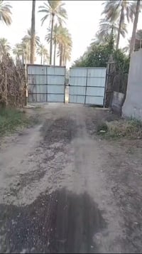 5 دونم ملك صرف بستان بغداد الراشدية مقابل بيت ساجر زبير  ارض المجزره س...