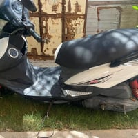 دراجه ماكس ثعلب مكفول عام ((رمبه))((رمبه))07826832084