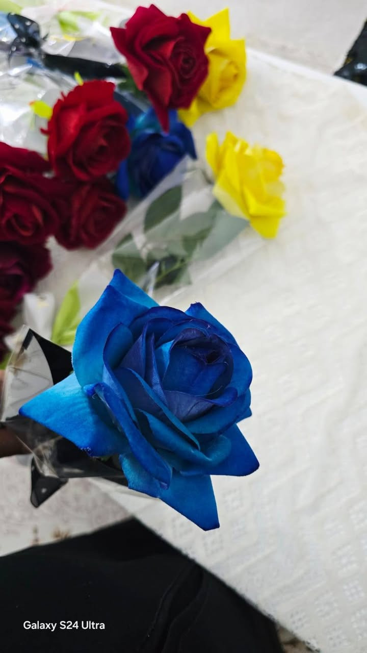 عيد المعلم والتلميذ بلكارت مكتبة ميثم توصيل وادلل ***********
