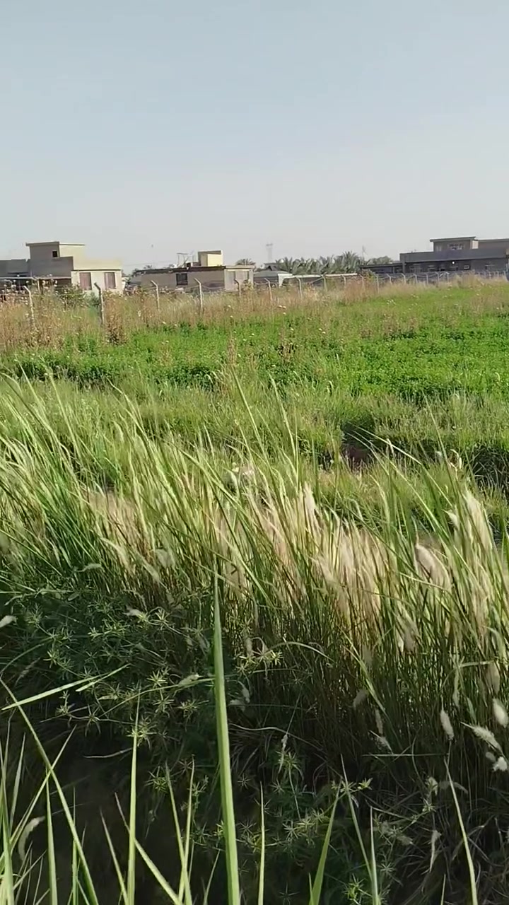 ارض  طابو سند ٢٥ المساحة ٢ دونم تباع دونم أو دونمين في بغداد التاجي ٢٤ ابو اعظام المسارة الاولى صالحة للسكن او الاستثمار من كل الخدمات سعر الدونم ب٢٠٠ مليون وبي مجال بسيط للاستفسار ***********
