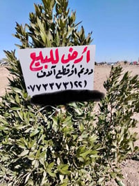 قطعة أرض • دونم ونص • مفتاح واسط