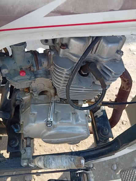 سلام عليكم ستوته للبيع موديل 2020 ستوته حلوه اوراق مكاني شطره مراوس اراوس بس بستوته السعر 1,600 قفل رقم تليفون***********
