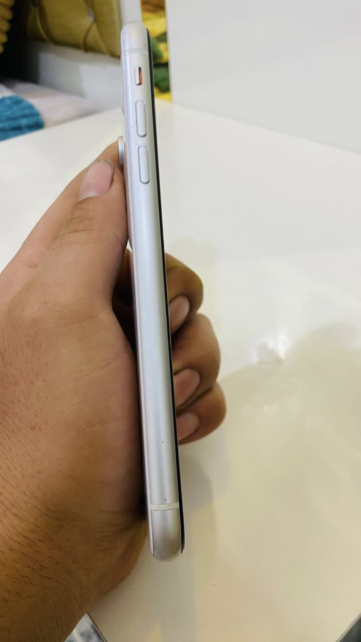 ايفون اكس ار
ذاكره 128
بطاريه 100
جهاز نضيف
سعر 150


**إذا كنت صاحب هذا الإعلان وتريد حذفه لأي سبب، رجاءا أرسل رسالة إلى الدعم الفني**