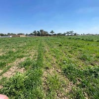 ٣٢ دونم طابو سند مستقل باسمنا جنس العقار / ٣٢ دونم طابو زراعي سند ٢٥  ...