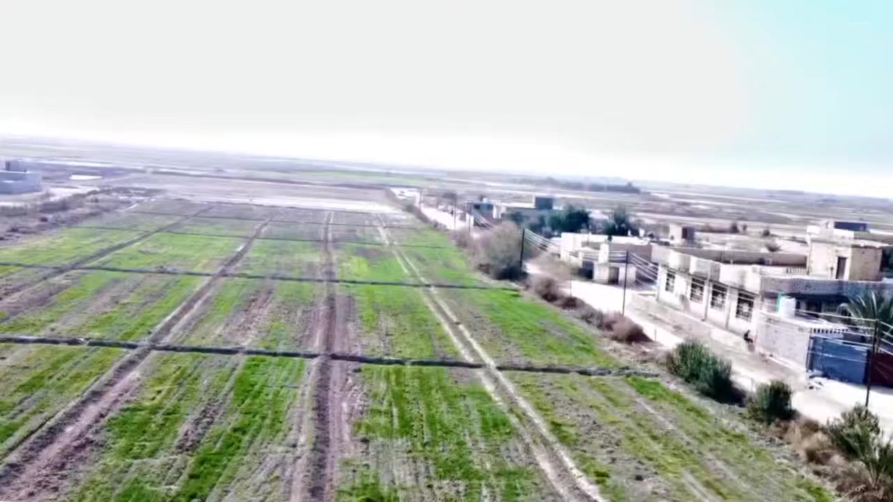 سلام عليكم البيع كاع زراعيه المساحه ١٠ دوانم ونص واجهيه شارع متوفره كل الخدمات مركز صحي مدارس ابتدائية ومتوسطة او عداديه واجهيه شارع وبيهه شاطيه على نهر الغراف ماي مباشر منل شط مكانهه بين النصر و الرفاعي بل مصيفي السعر نتصل ***********
***********
