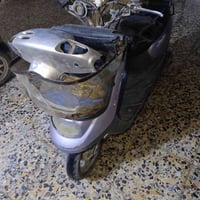 دراجتين • منغولي • كربلاء