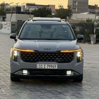 كرنفال هايبرد • ٢٠٢٥ • وارد امريكي