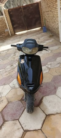 فراشه • فحل • لايت زنون