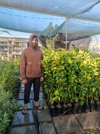 سندي مطعم ع لارنج ارتفاع صدر خشن ومفصخ جمله ٣.٥ مفرد ٥ الف لارنج ارتفا...