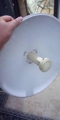 نانو بور بيم • نظيفه • النجف