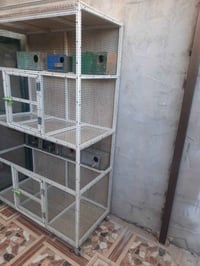 قفص حديد • ظهر بلاستك • كركوك فيلق