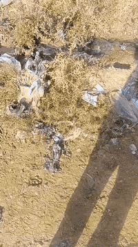 الراحة • ٣٠٠م • سند زراعي ٢٥