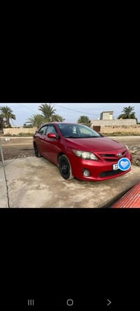 كورلا • ٢٠١١ • دلي عباس