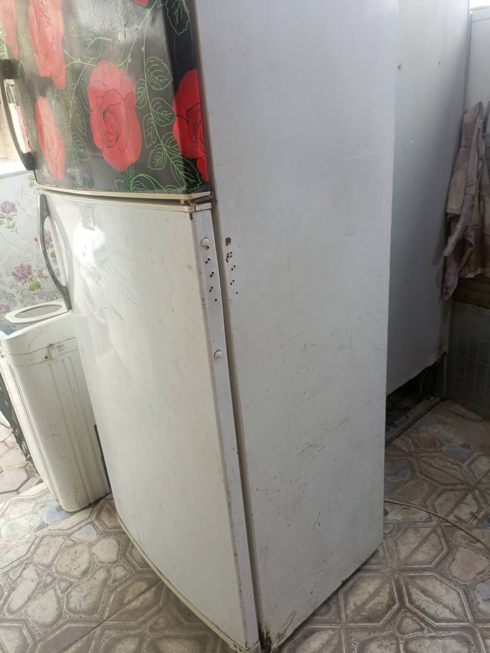 ثلاجه فستل تركي 18قدم فريز محوره تجميد فول ضمان سبوع اي شكال ترجع اذا ماجمد وسعرها مناسب ١٤٠ الف وبيها مجال


**إذا كنت صاحب هذا الإعلان وتريد حذفه لأي سبب، رجاءا أرسل رسالة إلى الدعم الفني**