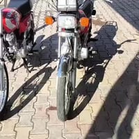 نوفل • مكفوله • مخزونه