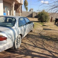 سوناته • ١٩٩٤ • بغداد البلديات