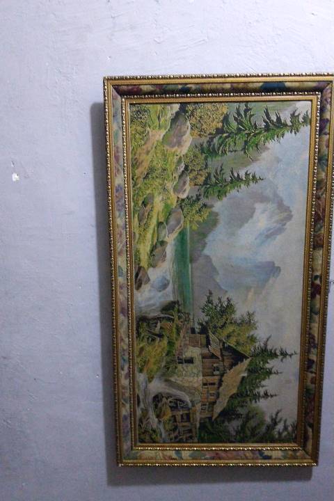 المشتل قرب كراج بعقوبه يوجد خدمه توصيل
