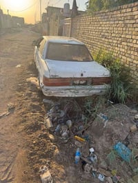 هارتوب • تفصيخ • للبيع كله