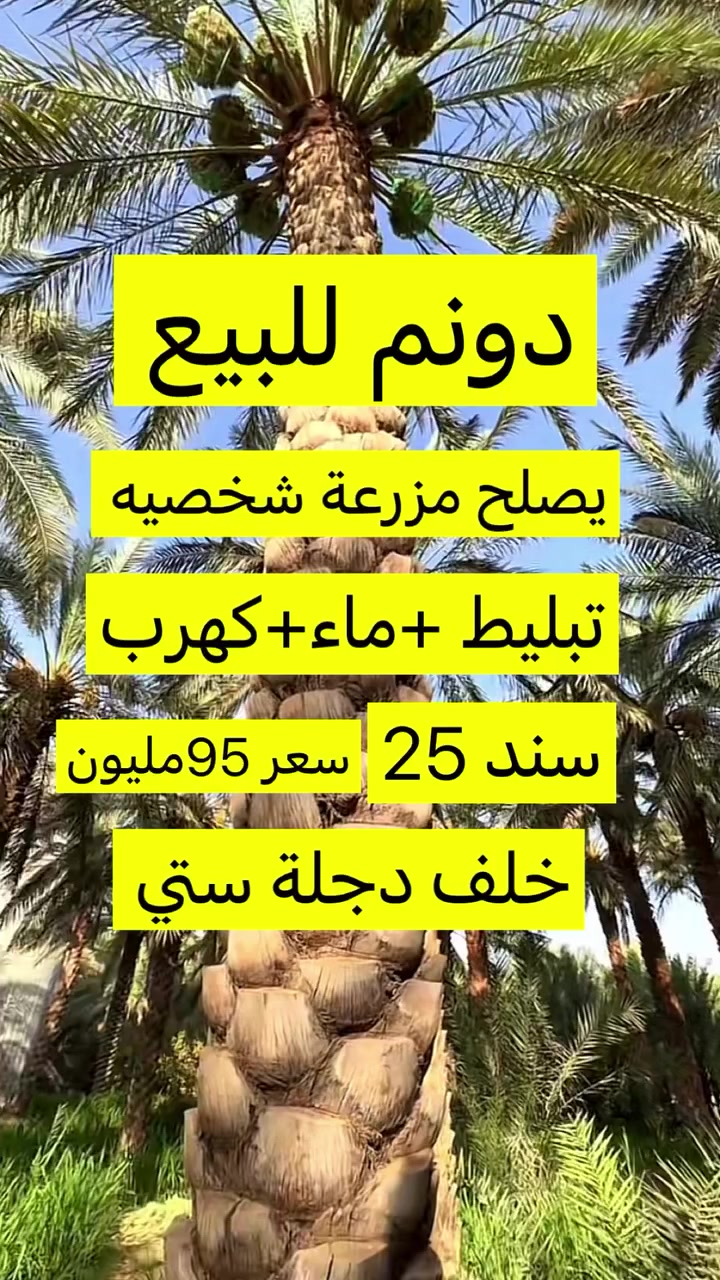 دوانم وأراضي الموصل


**إذا كنت صاحب هذا الإعلان وتريد حذفه لأي سبب، رجاءا أرسل رسالة إلى الدعم الفني**