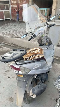 حبايب ماكس منغولي تبجيلها على غسله بس طالعه من المعرض صارله 4 اشهر  كف...